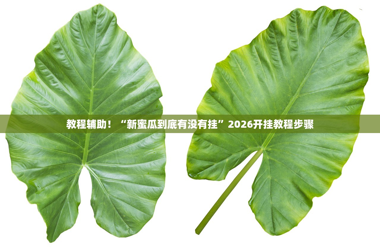 教程辅助！“新蜜瓜到底有没有挂”2026开挂教程步骤