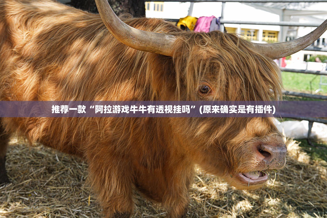 推荐一款“阿拉游戏牛牛有透视挂吗	”(原来确实是有插件)