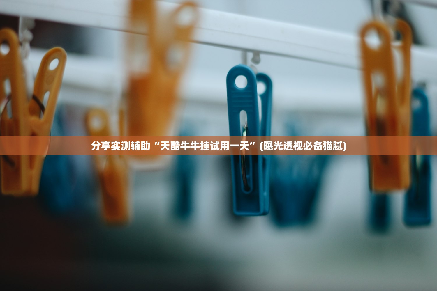 分享实测辅助“天酷牛牛挂试用一天	”(曝光透视必备猫腻)