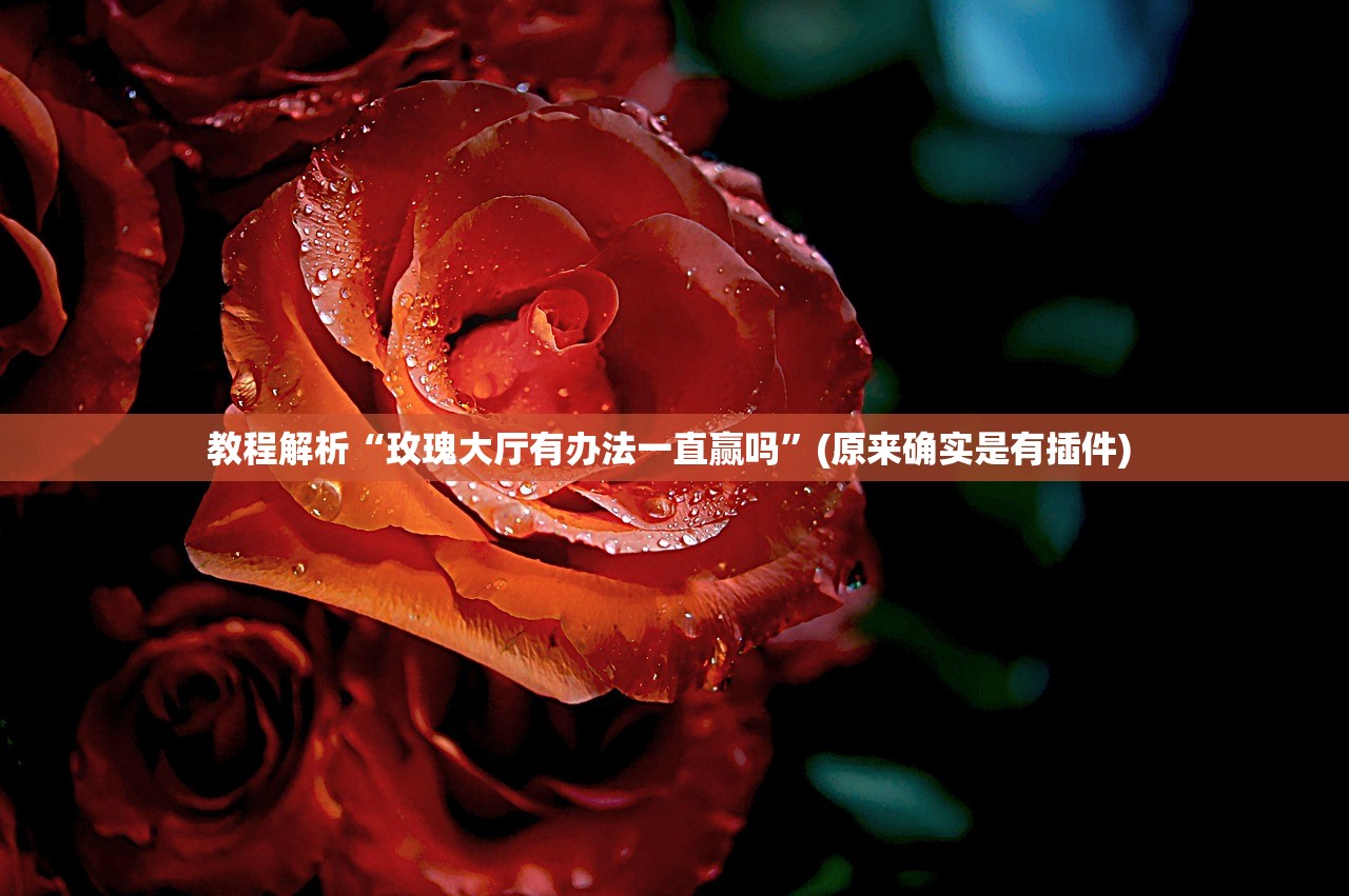 教程解析“玫瑰大厅有办法一直赢吗”(原来确实是有插件) 