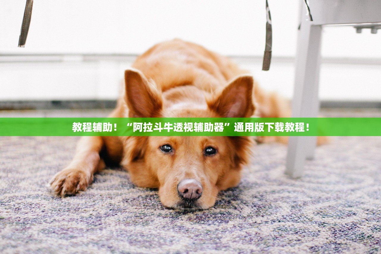 教程辅助！“阿拉斗牛透视辅助器”通用版下载教程！