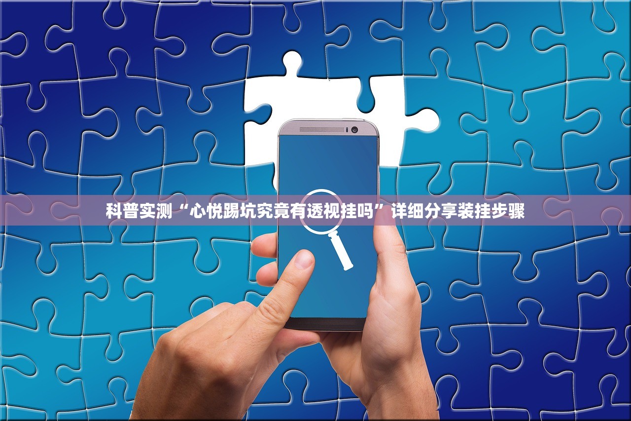 科普实测“心悦踢坑究竟有透视挂吗”详细分享装挂步骤