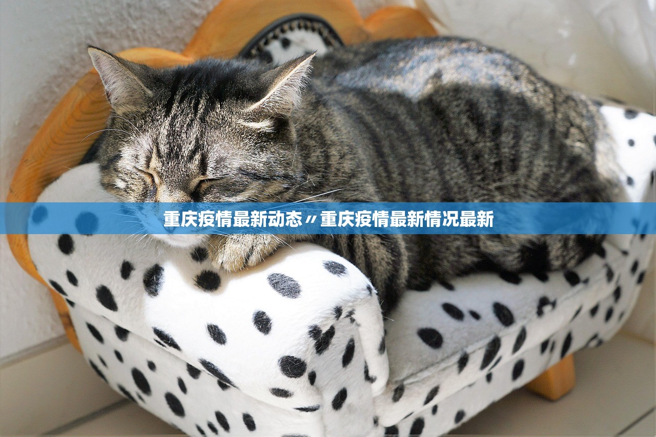 重庆疫情最新动态〃重庆疫情最新情况最新