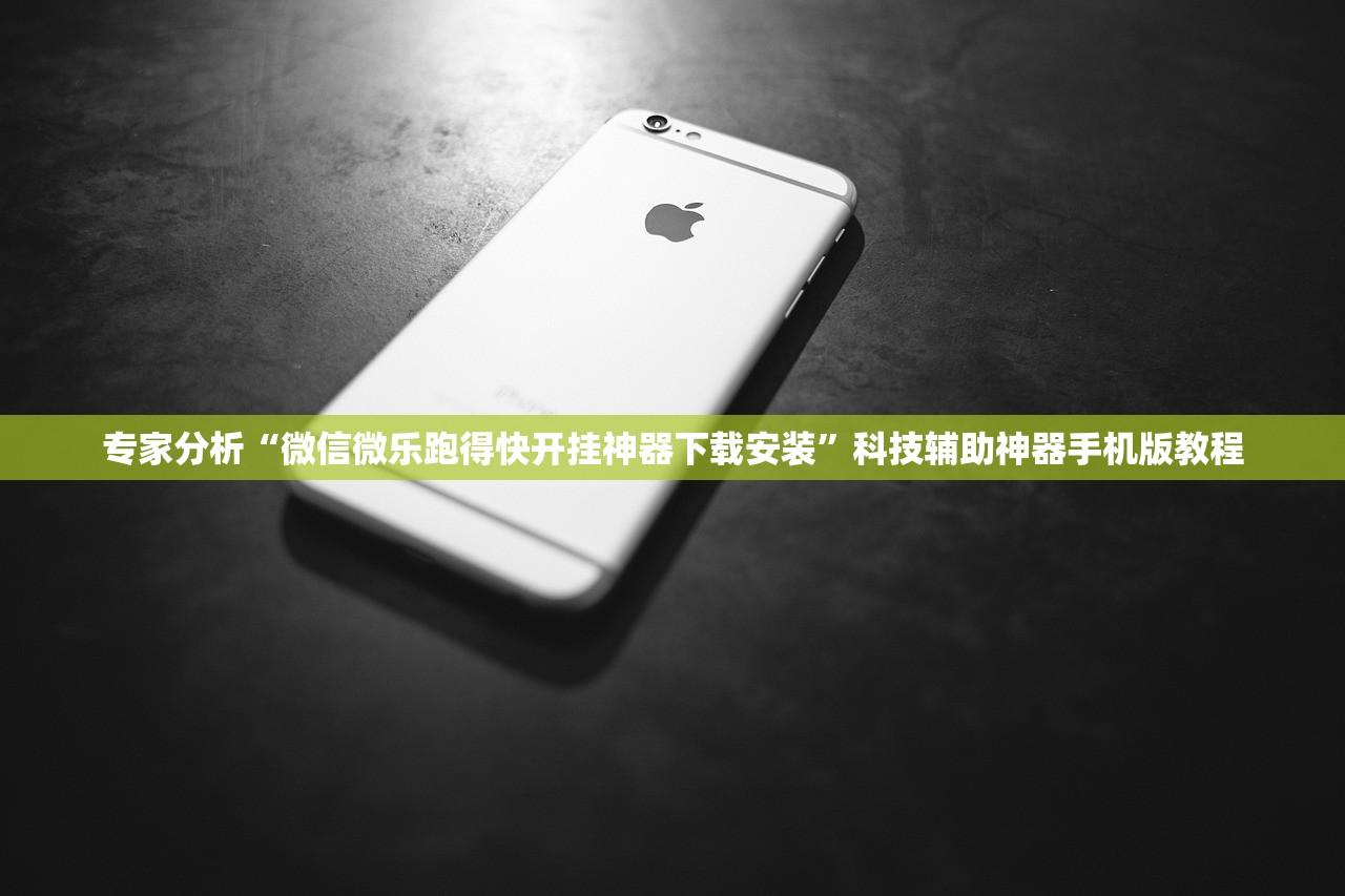 专家分析“微信微乐跑得快开挂神器下载安装”科技辅助神器手机版教程