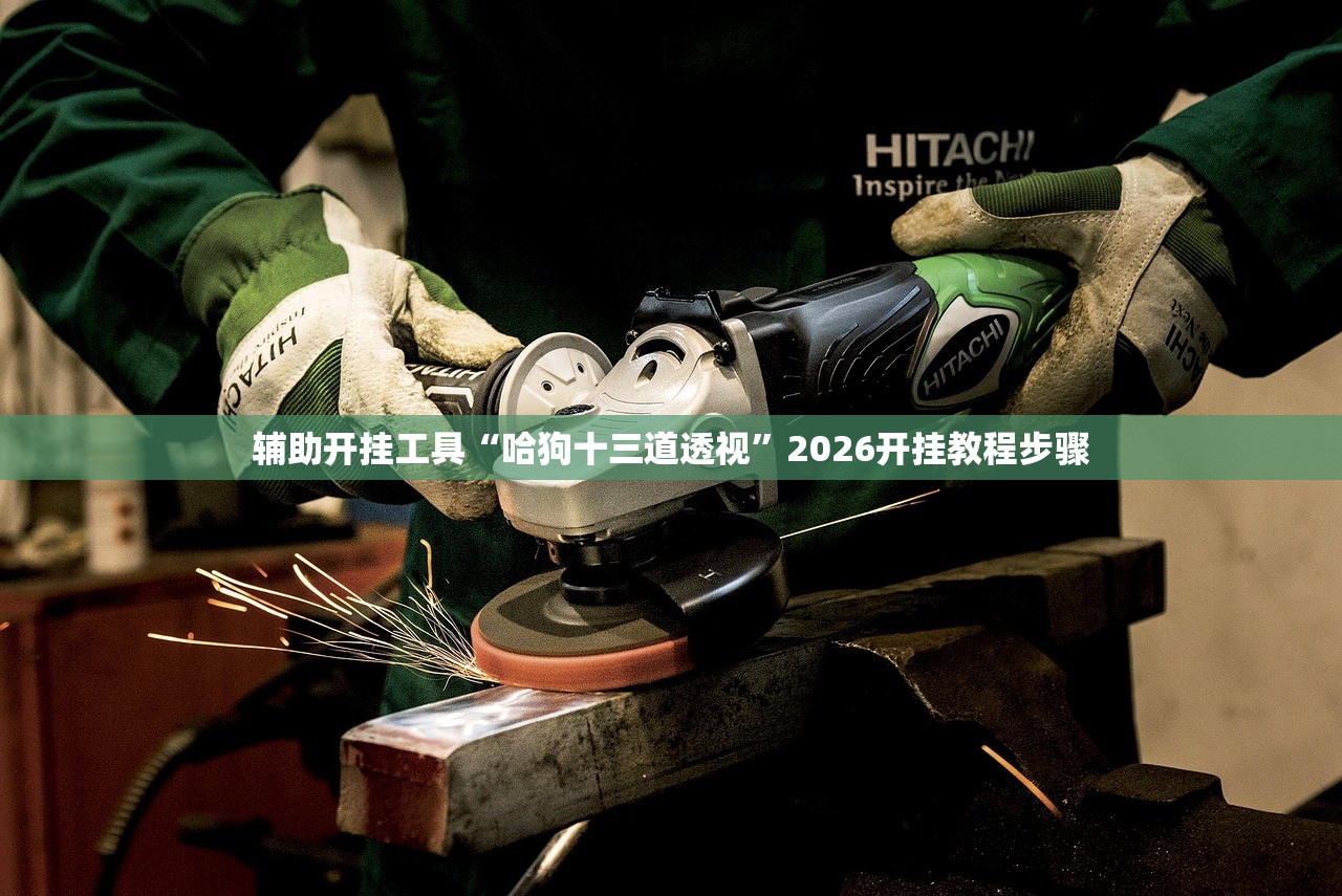 辅助开挂工具“哈狗十三道透视”2026开挂教程步骤