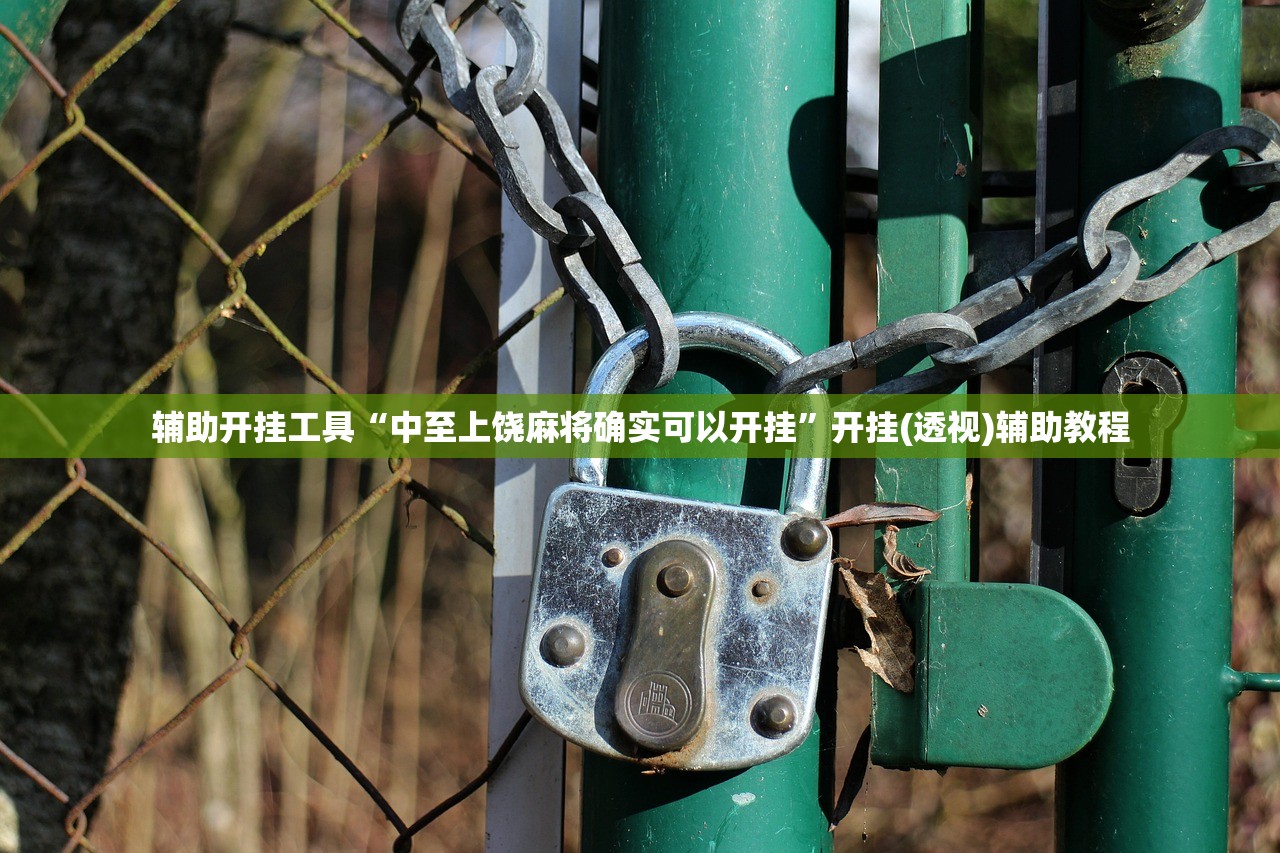 辅助开挂工具“中至上饶麻将确实可以开挂”开挂(透视)辅助教程