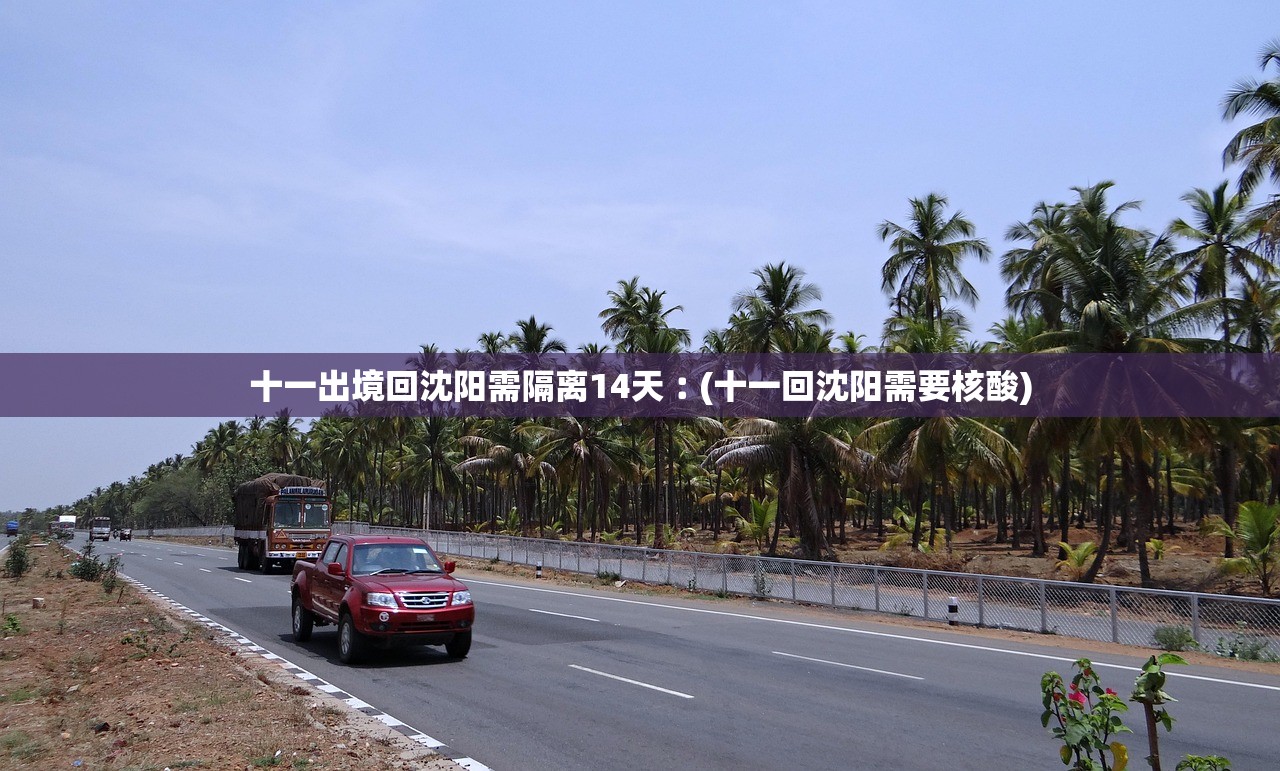 十一出境回沈阳需隔离14天︰(十一回沈阳需要核酸)