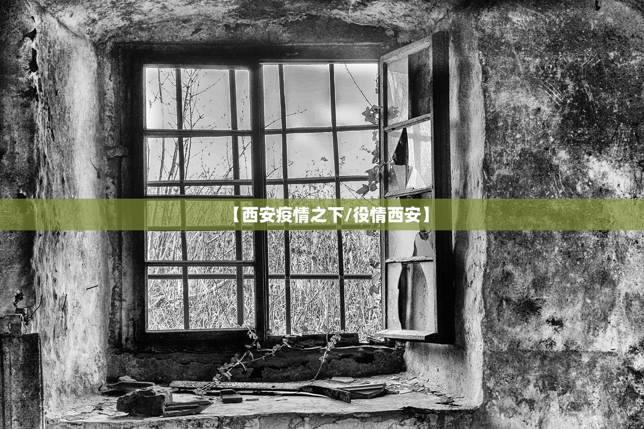 【西安疫情之下/役情西安】