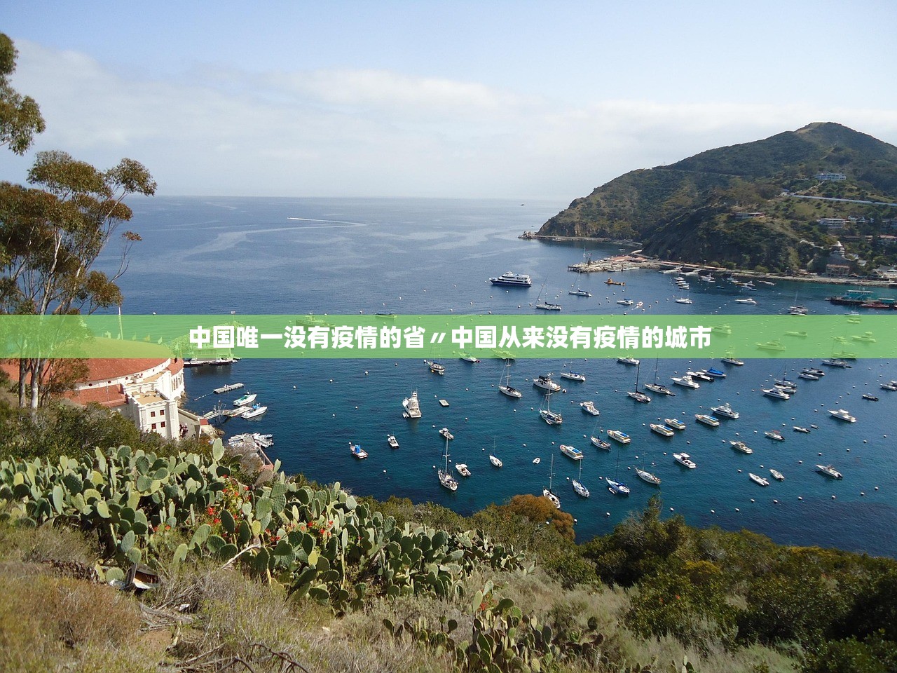 中国唯一没有疫情的省〃中国从来没有疫情的城市