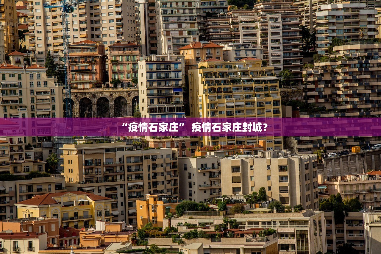 “疫情石家庄” 疫情石家庄封城？