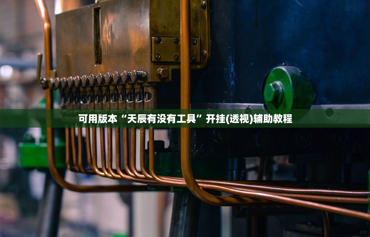 可用版本“天辰有没有工具”开挂(透视)辅助教程