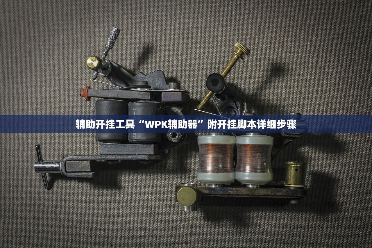 辅助开挂工具“WPK辅助器”附开挂脚本详细步骤