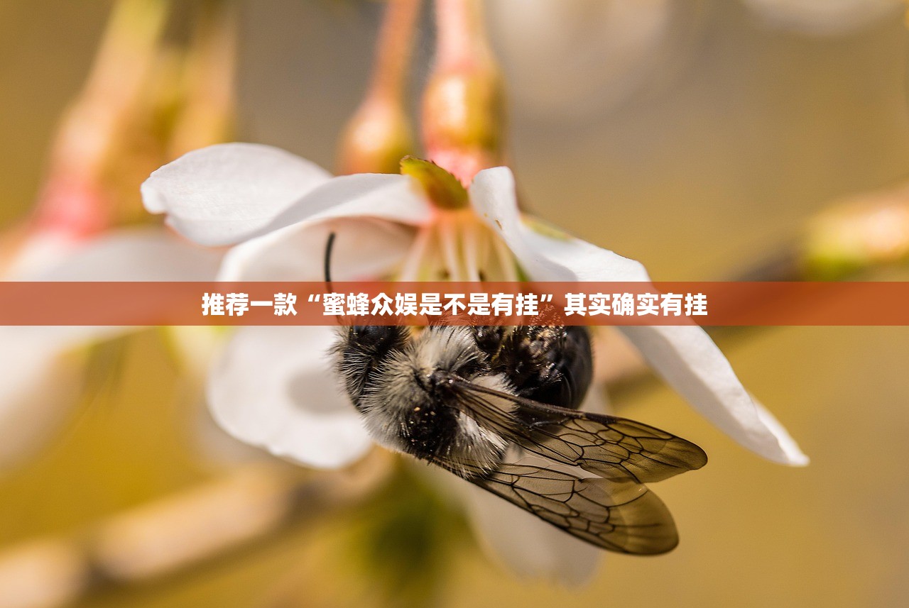 推荐一款“蜜蜂众娱是不是有挂	”其实确实有挂