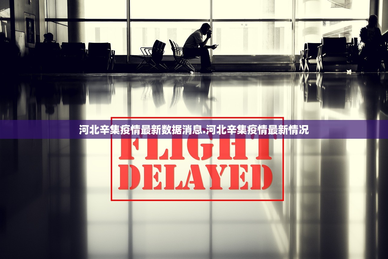 河北辛集疫情最新数据消息.河北辛集疫情最新情况