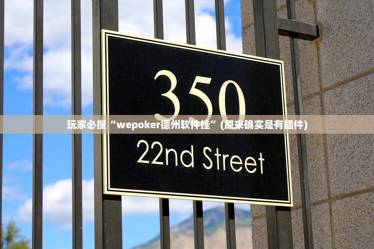 玩家必搜“wepoker德州软件挂”(原来确实是有插件)
