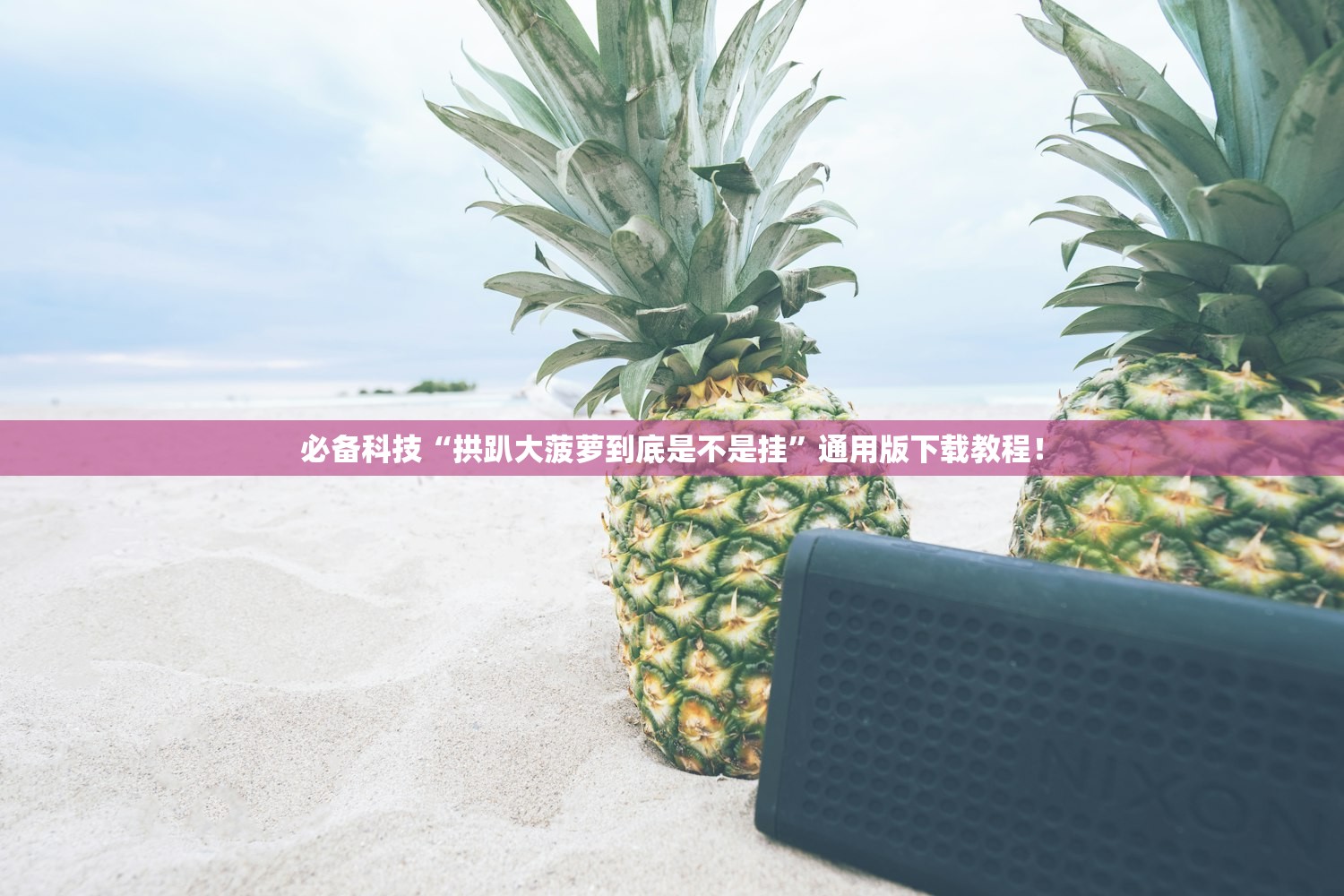 必备科技“拱趴大菠萝到底是不是挂”通用版下载教程！
