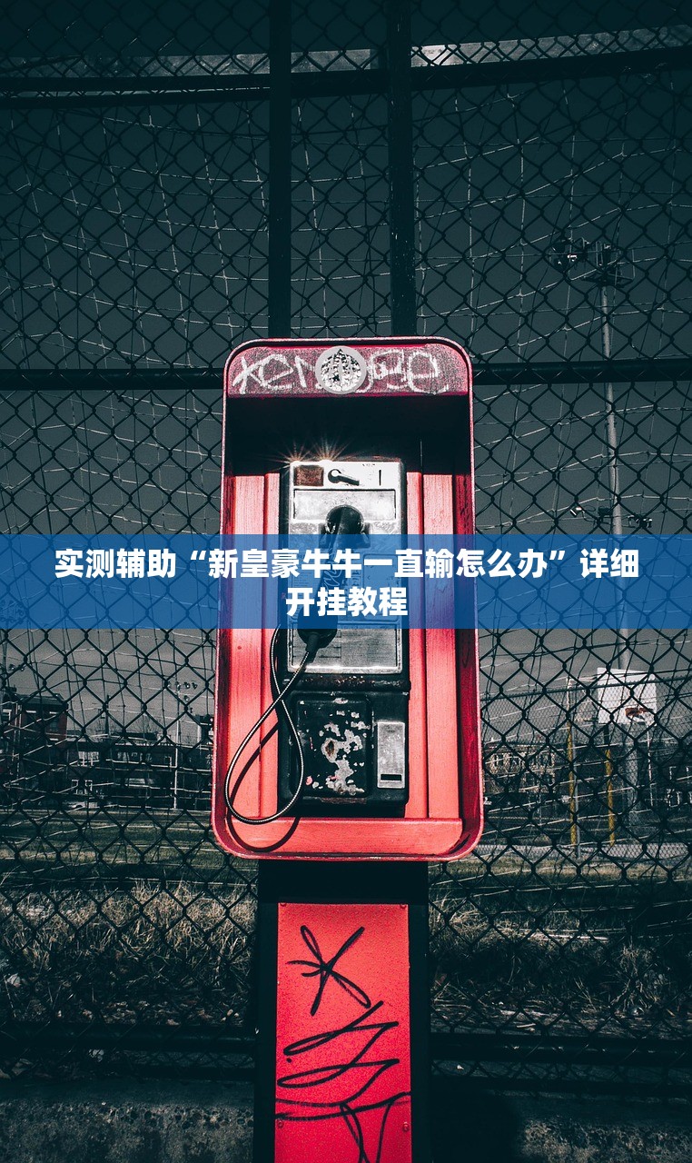 实测辅助“新皇豪牛牛一直输怎么办”详细开挂教程