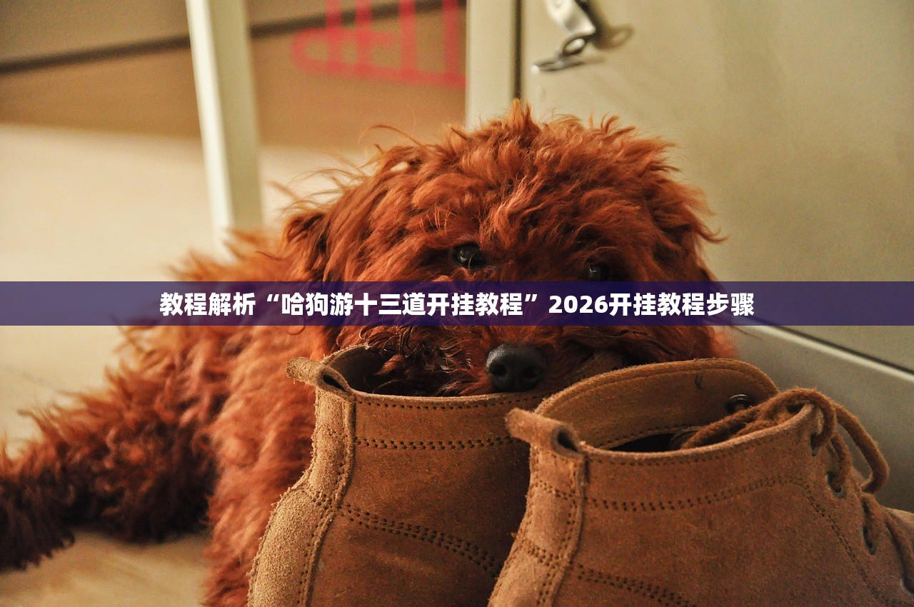 教程解析“哈狗游十三道开挂教程”2026开挂教程步骤