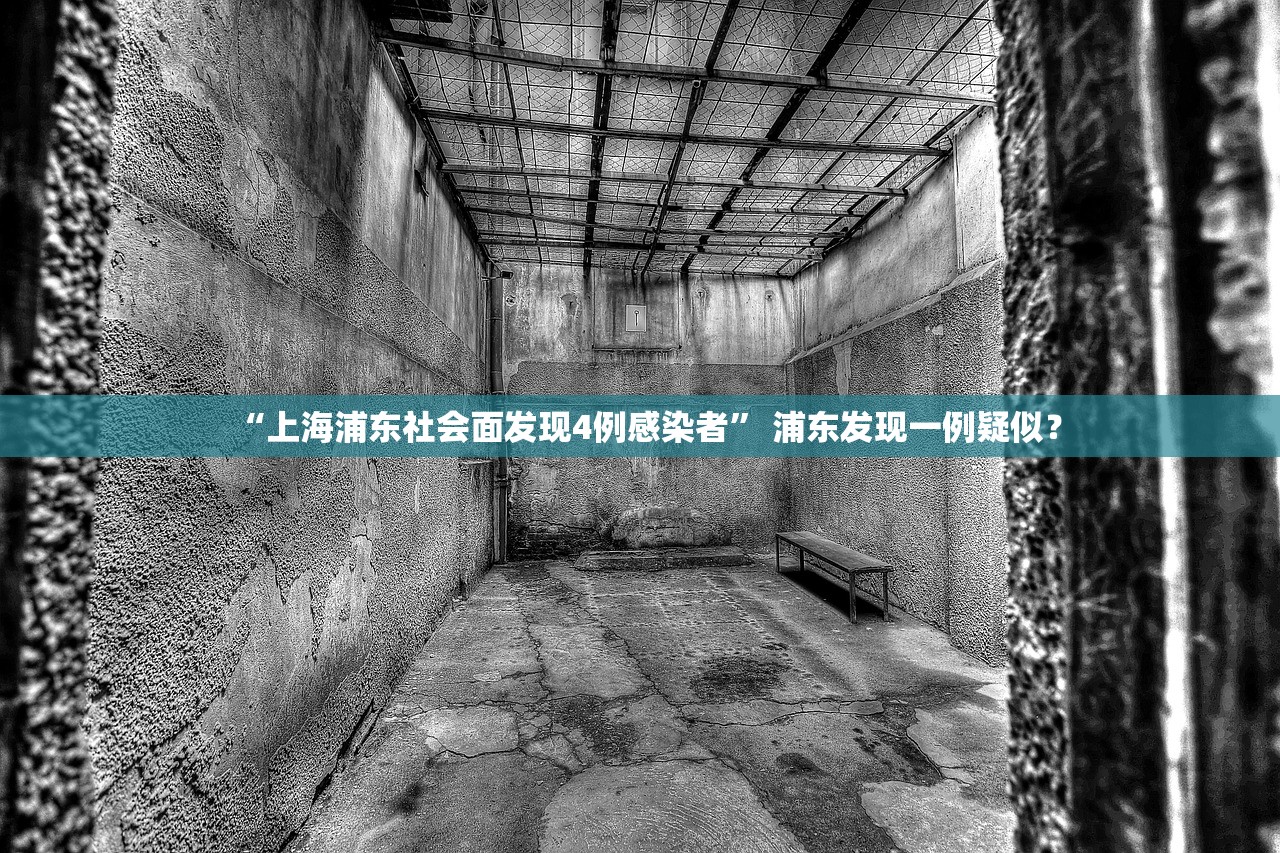 “上海浦东社会面发现4例感染者” 浦东发现一例疑似？