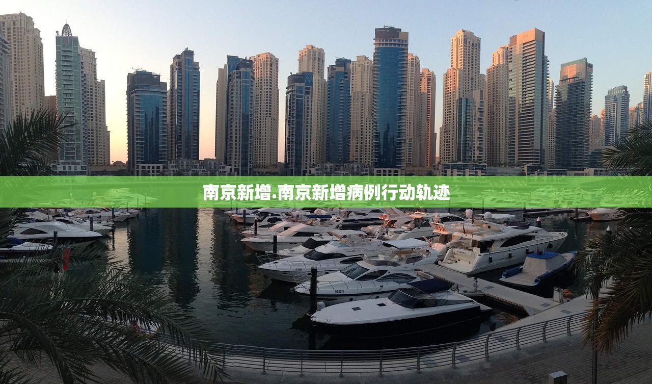 南京新增.南京新增病例行动轨迹