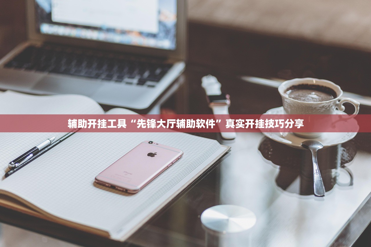 辅助开挂工具“先锋大厅辅助软件”真实开挂技巧分享