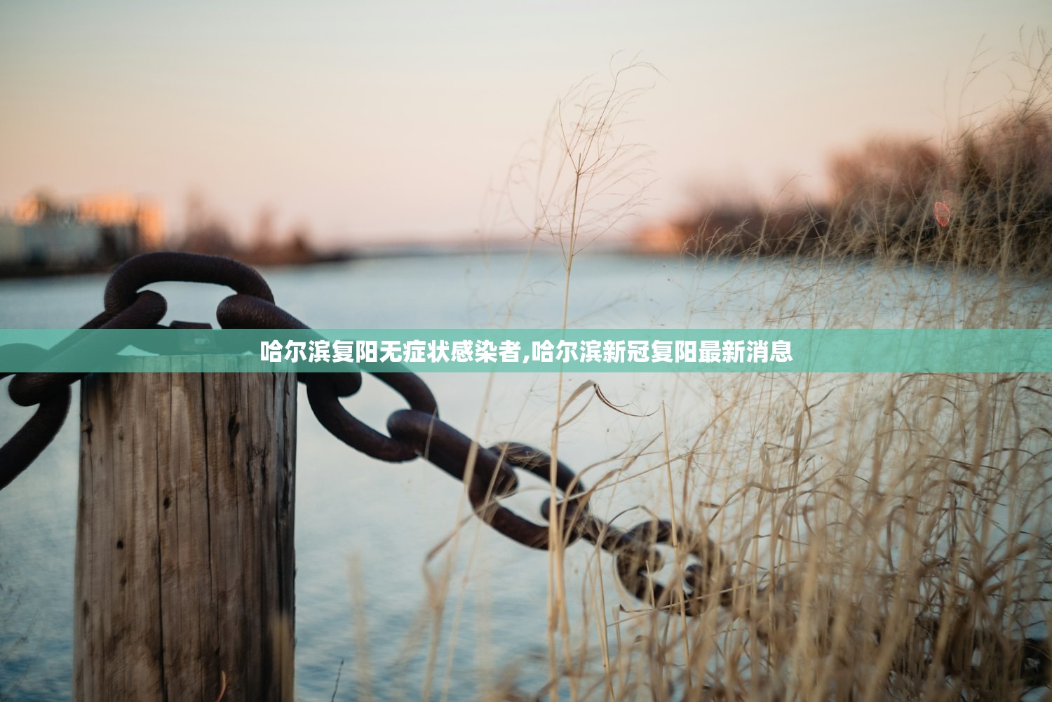 哈尔滨复阳无症状感染者,哈尔滨新冠复阳最新消息