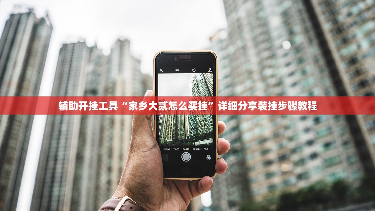 辅助开挂工具“家乡大贰怎么买挂”详细分享装挂步骤教程