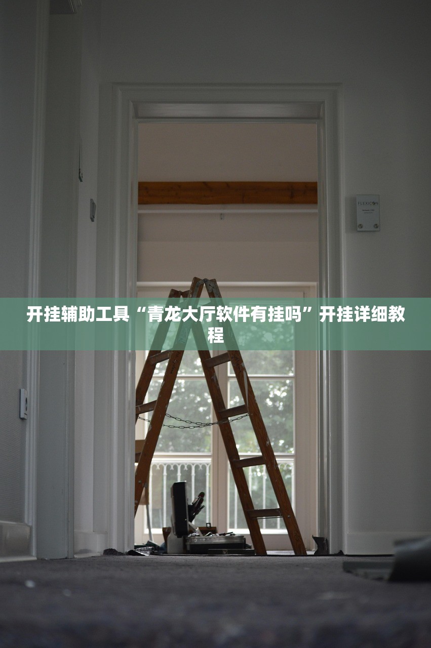开挂辅助工具“青龙大厅软件有挂吗”开挂详细教程