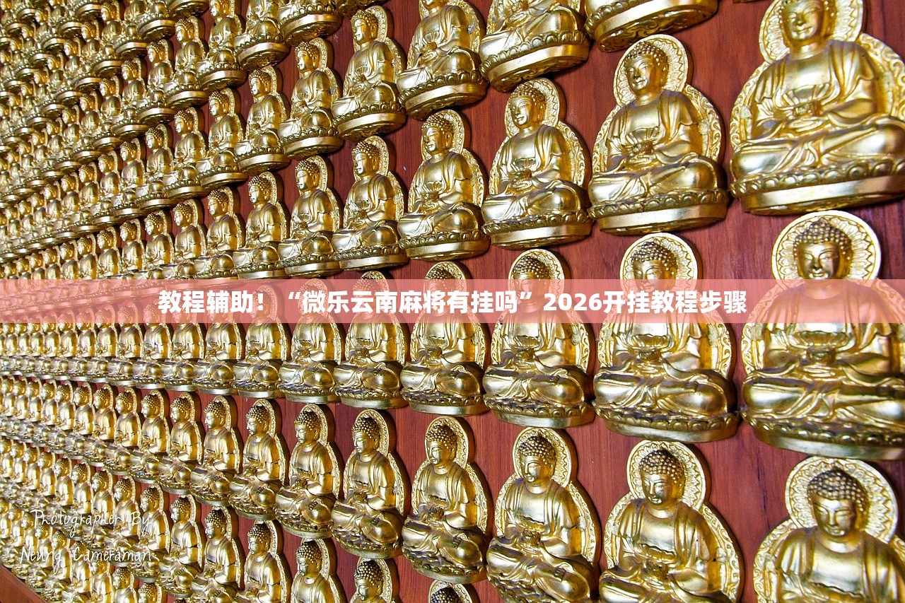 教程辅助！“微乐云南麻将有挂吗”2026开挂教程步骤