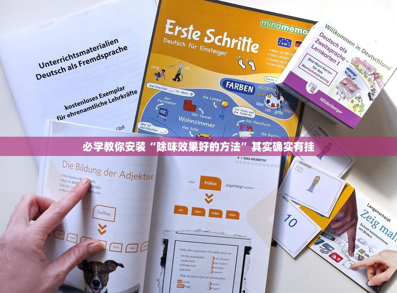 必学教你安装“除味效果好的方法”其实确实有挂