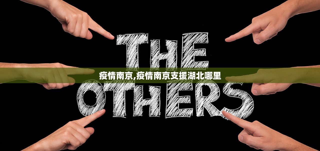 疫情南京,疫情南京支援湖北哪里