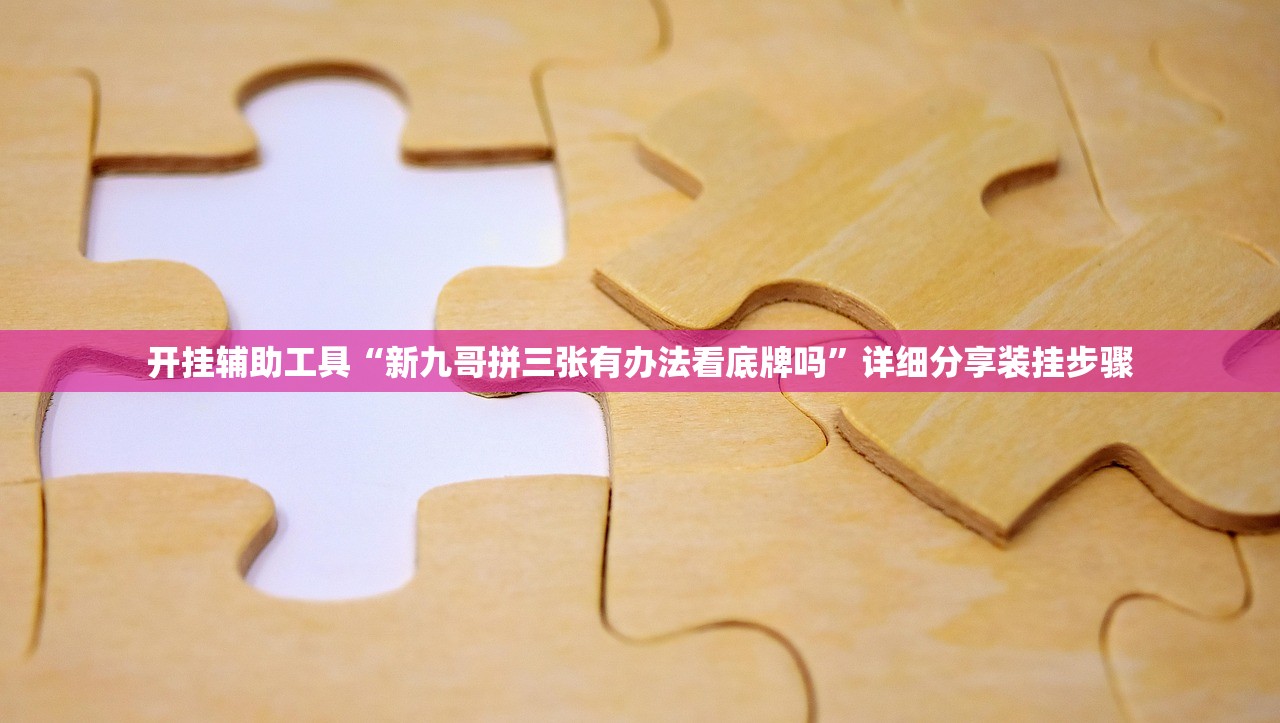 开挂辅助工具“新九哥拼三张有办法看底牌吗”详细分享装挂步骤