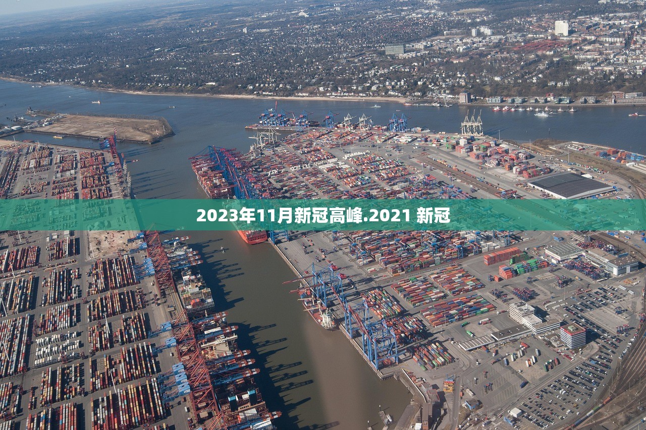 2023年11月新冠高峰.2021 新冠