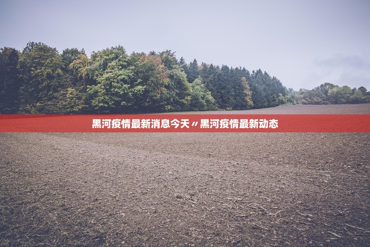 黑河疫情最新消息今天〃黑河疫情最新动态