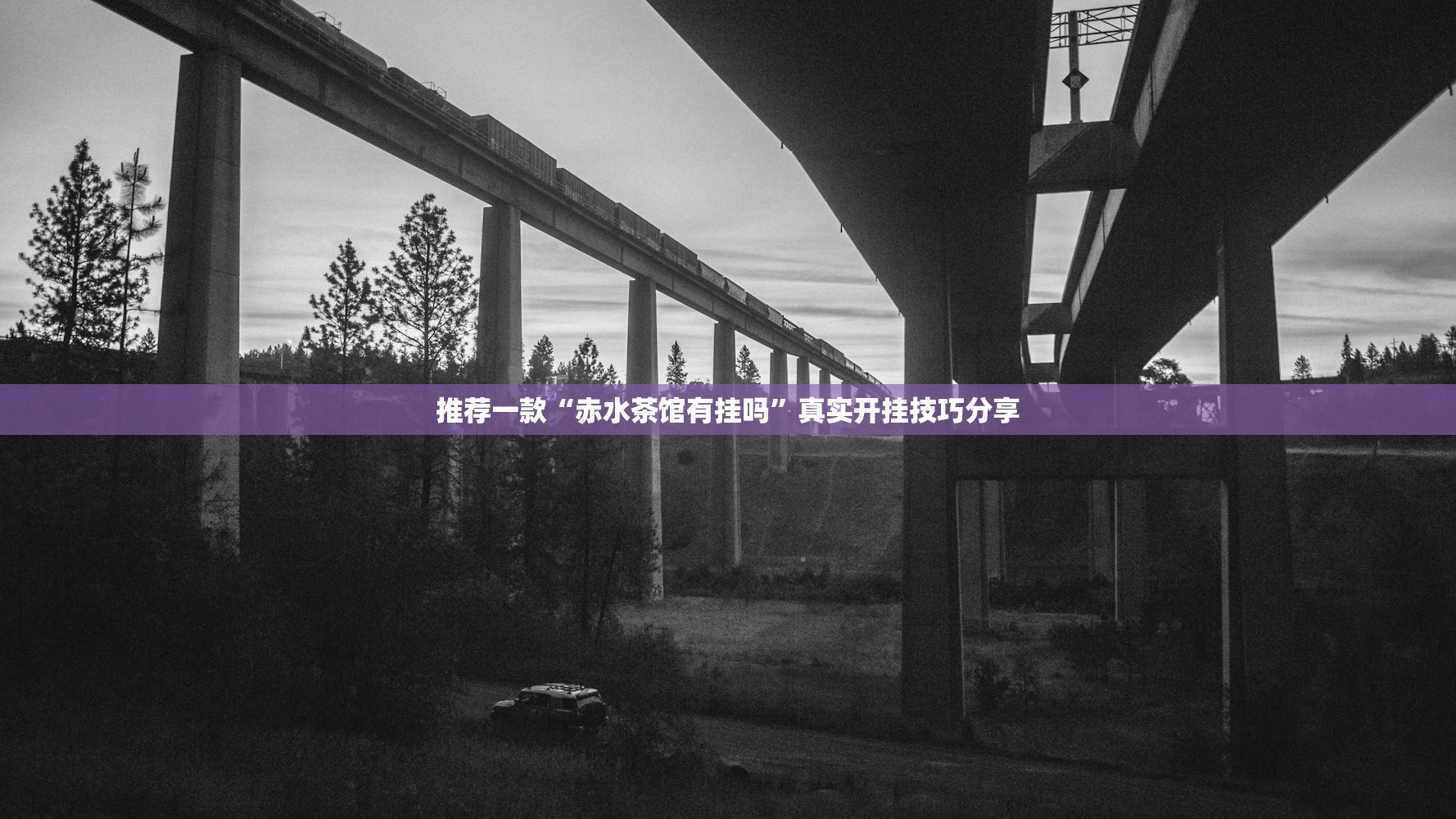 推荐一款“赤水茶馆有挂吗	”真实开挂技巧分享