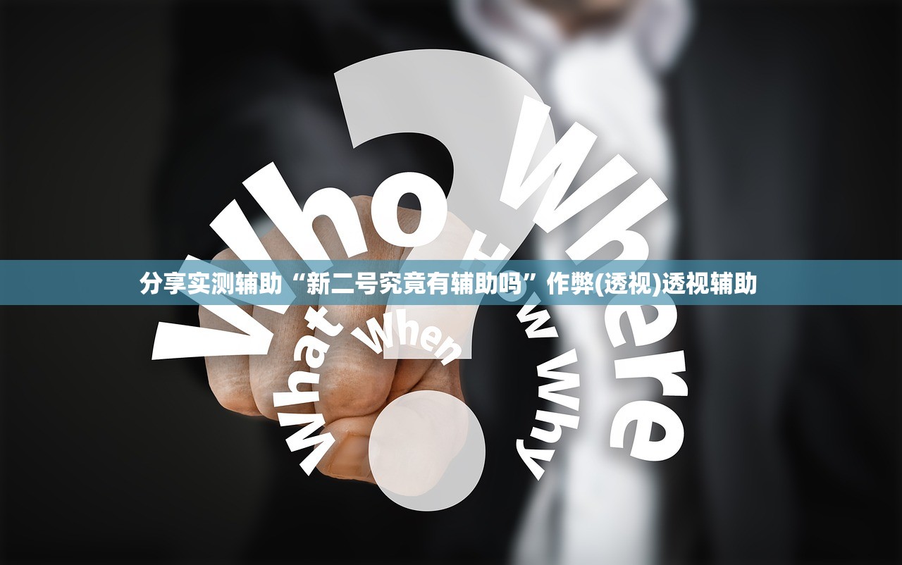 分享实测辅助“新二号究竟有辅助吗”作弊(透视)透视辅助 