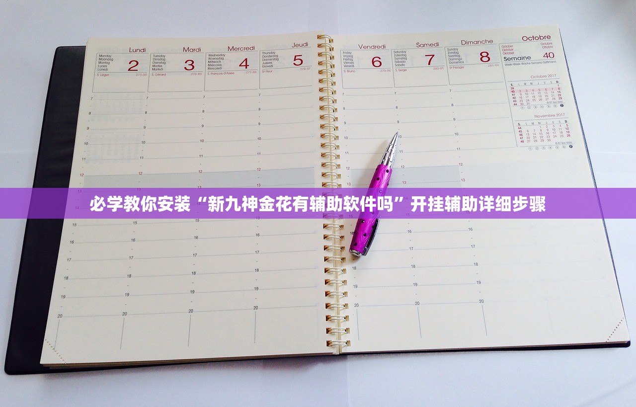 必学教你安装“新九神金花有辅助软件吗”开挂辅助详细步骤