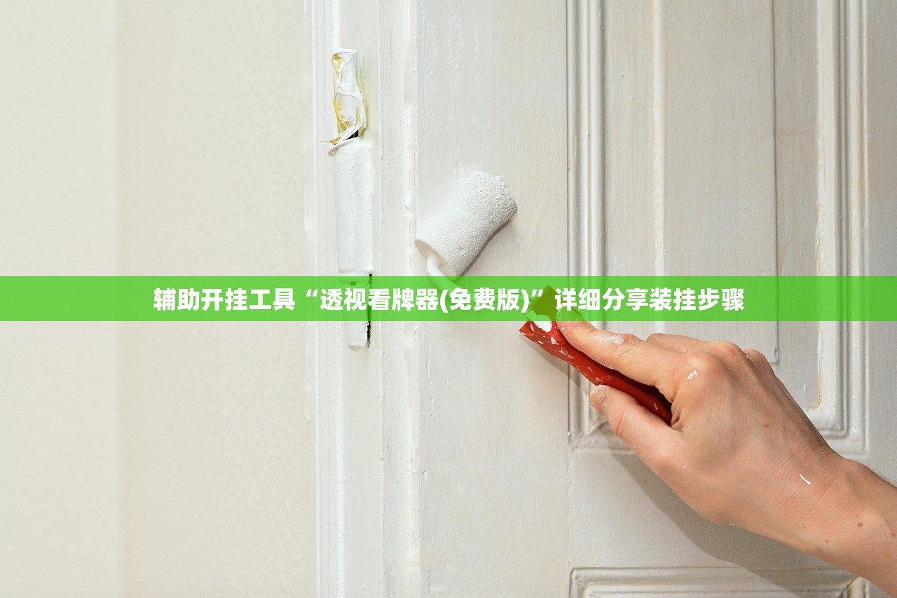 辅助开挂工具“透视看牌器(免费版)”详细分享装挂步骤
