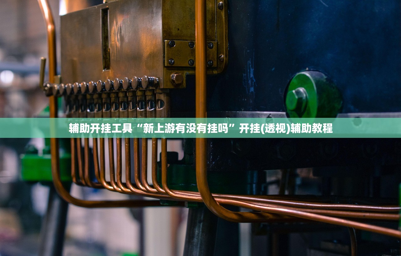 辅助开挂工具“新上游有没有挂吗”开挂(透视)辅助教程