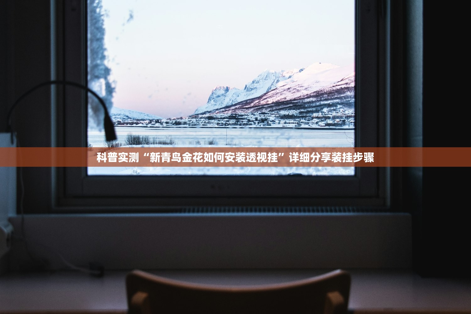 科普实测“新青鸟金花如何安装透视挂”详细分享装挂步骤