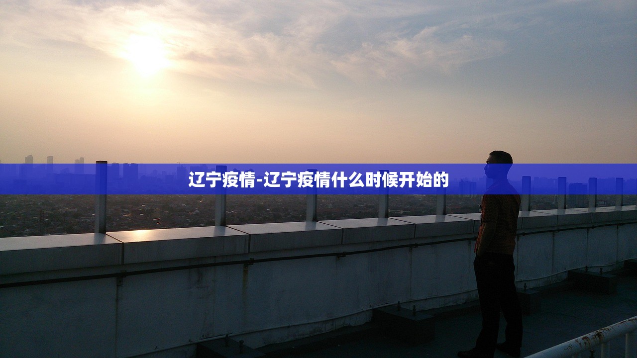 辽宁疫情-辽宁疫情什么时候开始的