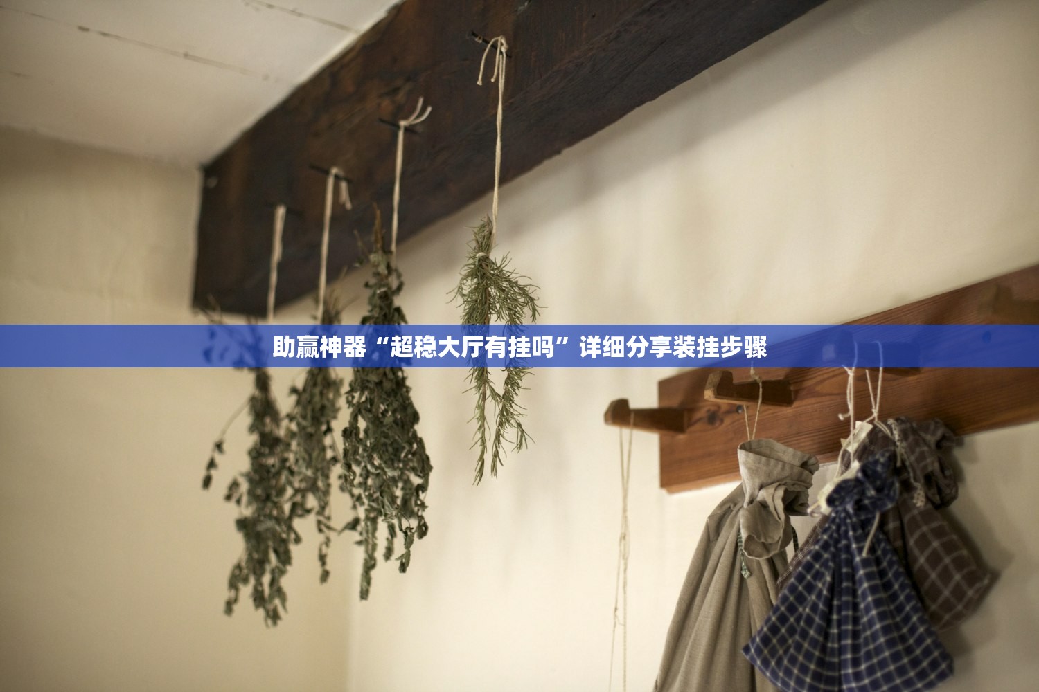 助赢神器“超稳大厅有挂吗	”详细分享装挂步骤