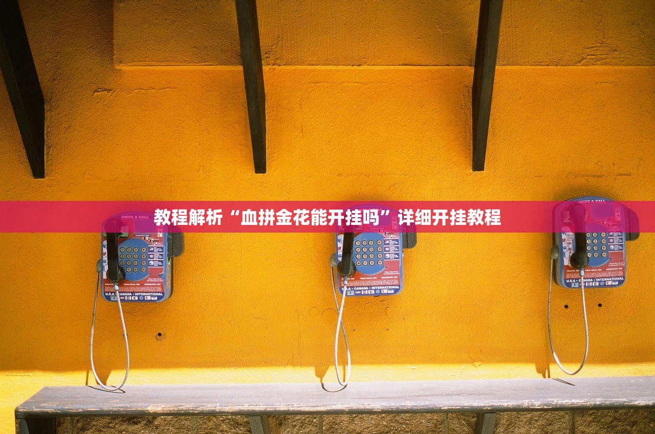 教程解析“血拼金花能开挂吗”详细开挂教程