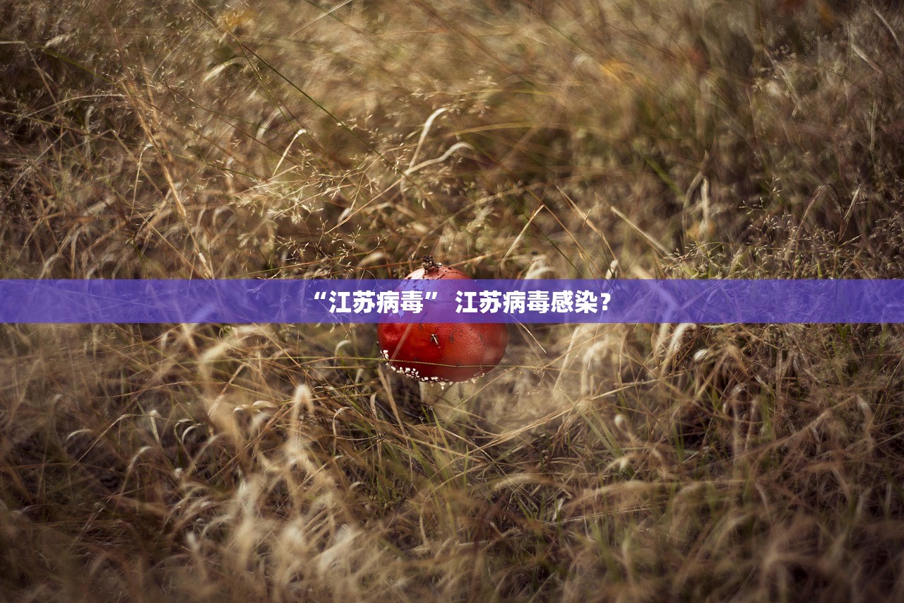 “江苏病毒	” 江苏病毒感染？