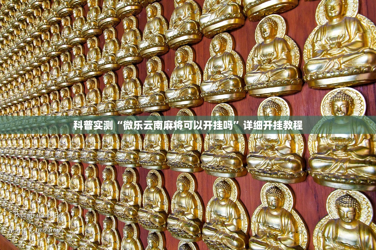 科普实测“微乐云南麻将可以开挂吗	”详细开挂教程