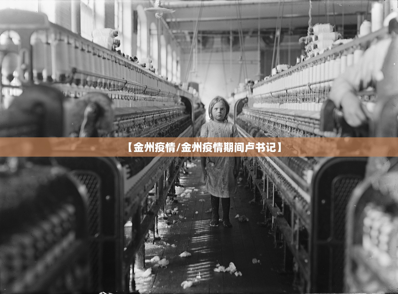 【金州疫情/金州疫情期间卢书记】