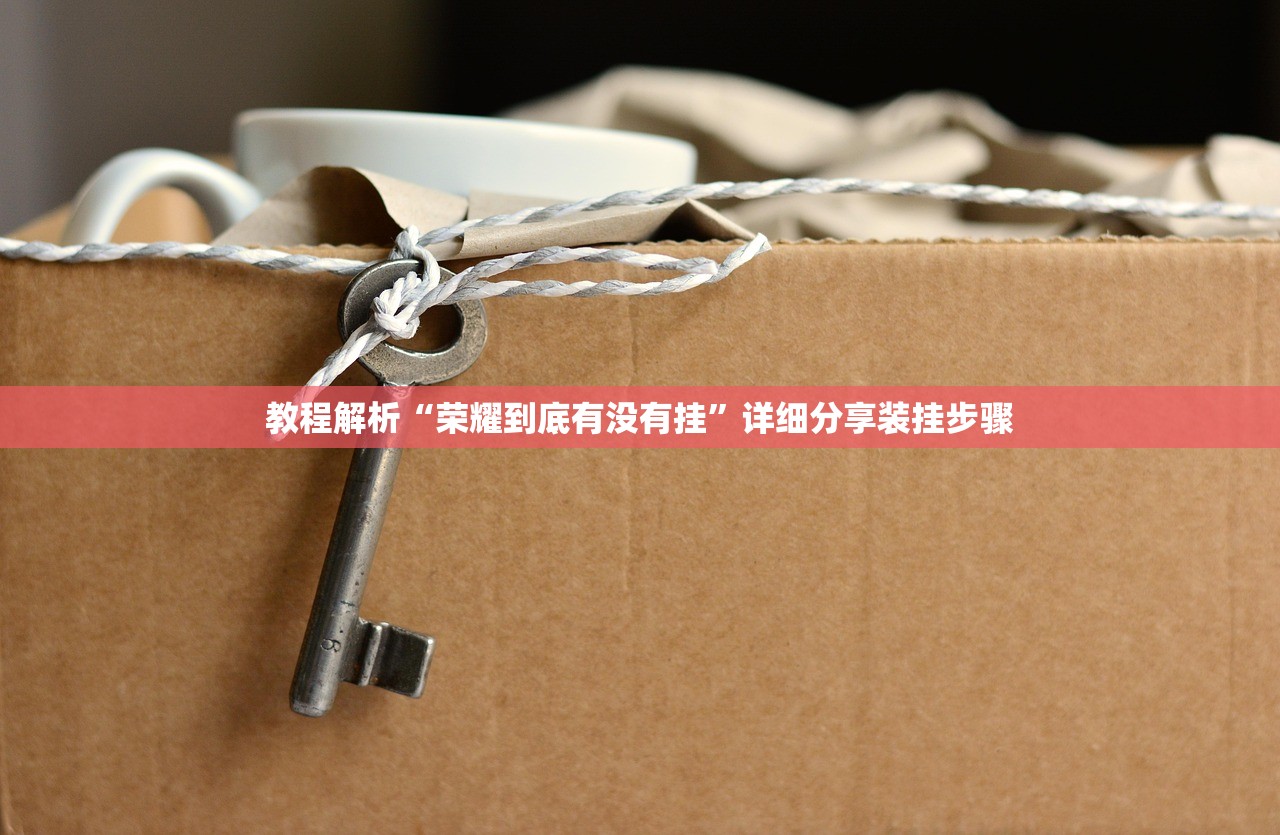 教程解析“荣耀到底有没有挂”详细分享装挂步骤