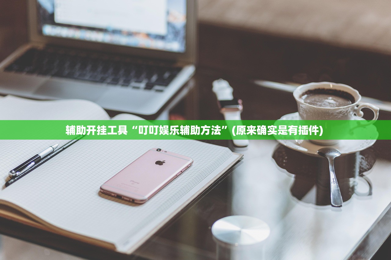 辅助开挂工具“叮叮娱乐辅助方法”(原来确实是有插件) 
