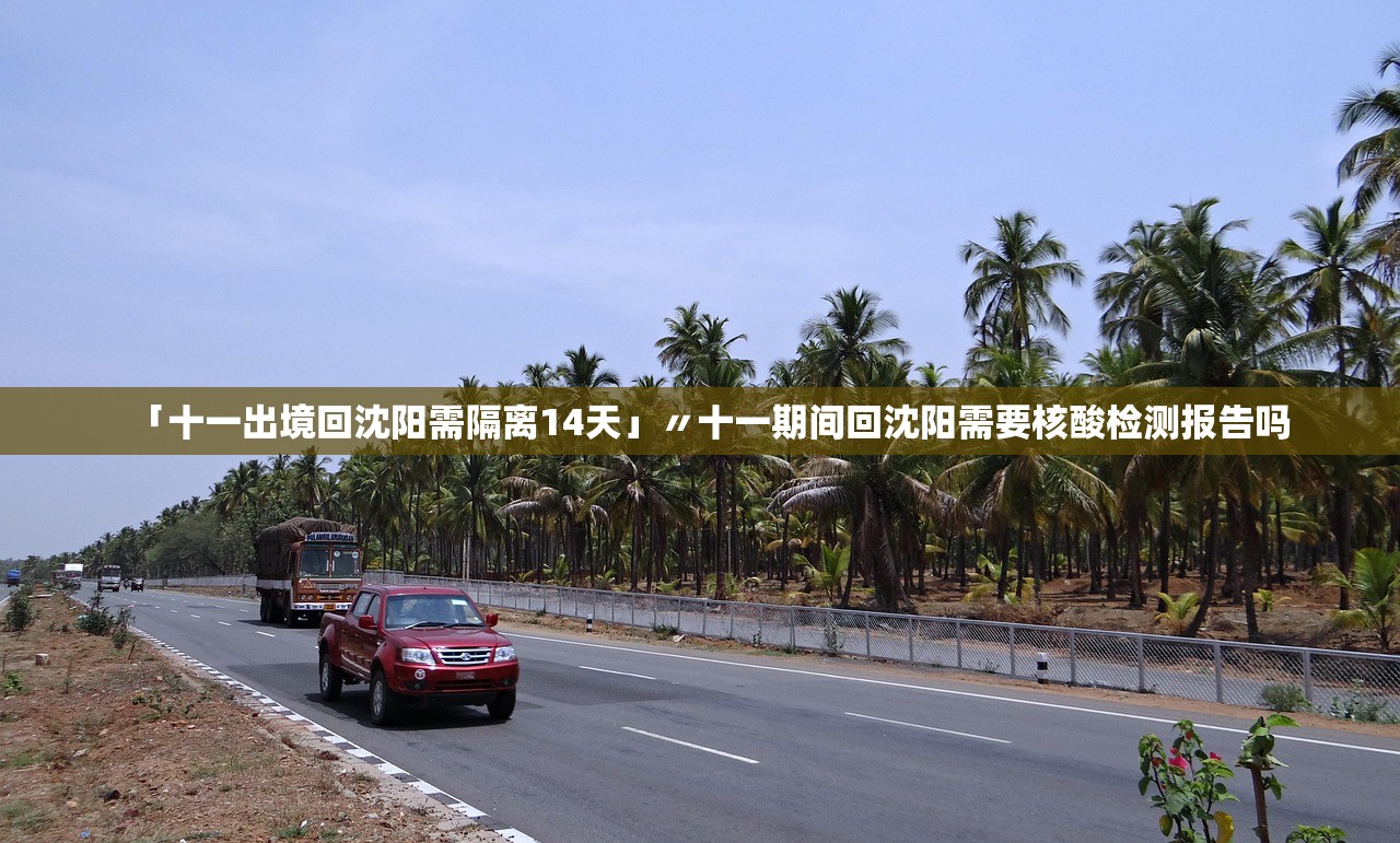 「十一出境回沈阳需隔离14天」〃十一期间回沈阳需要核酸检测报告吗