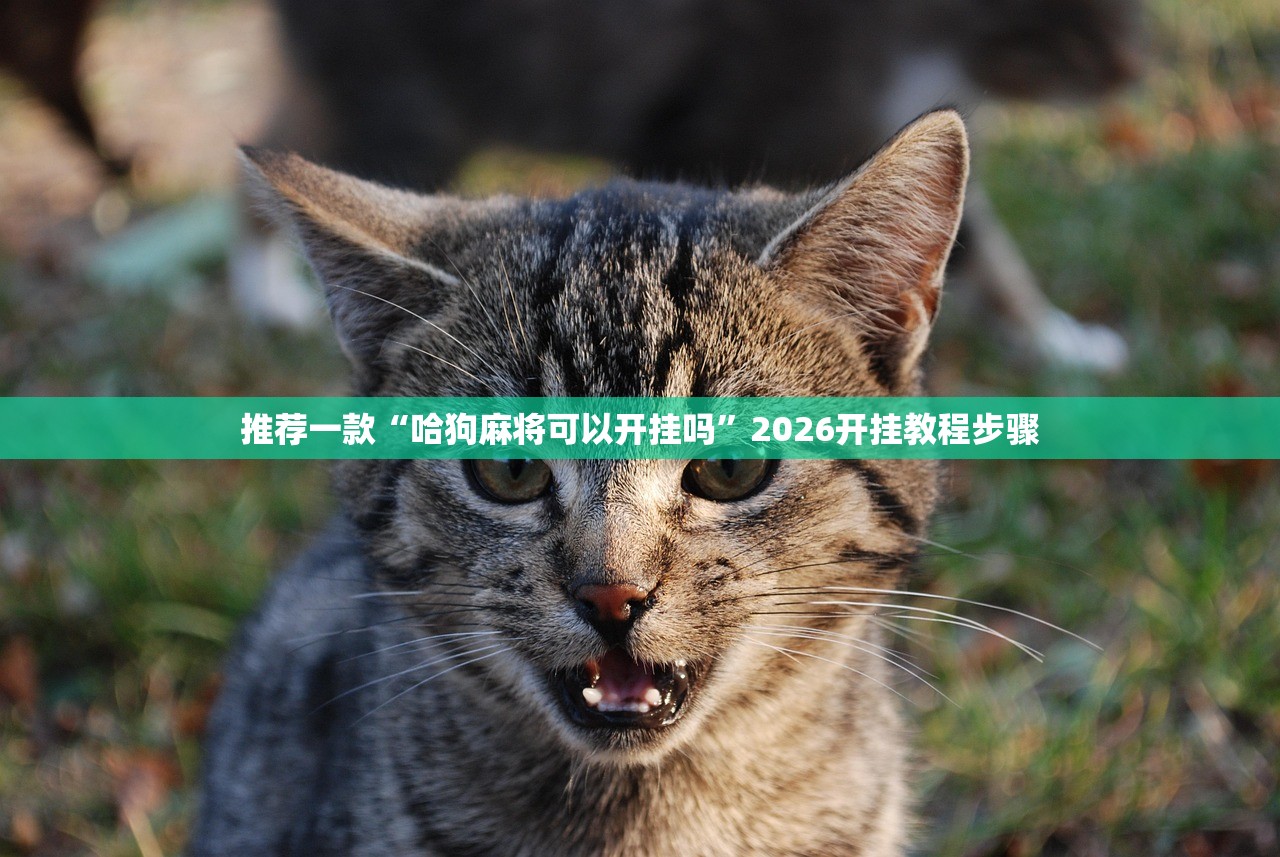 推荐一款“哈狗麻将可以开挂吗”2026开挂教程步骤